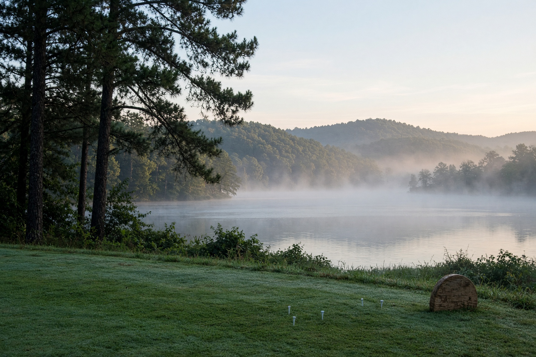 A tee looking out over the water